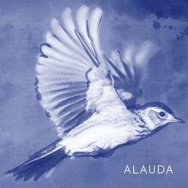 Alauda album artwork