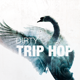 Dirty Trip Hop album artwork