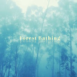 Forest Bathing album artwork