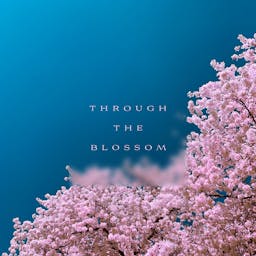 Through The Blossom album artwork