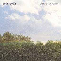 Sunshower album artwork