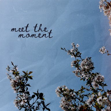 Meet The Moment album artwork