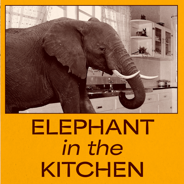 Elephant In The Kitchen
