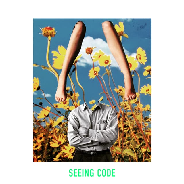 Seeing Code