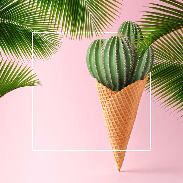 Light Lifestyle & Dramedy 2